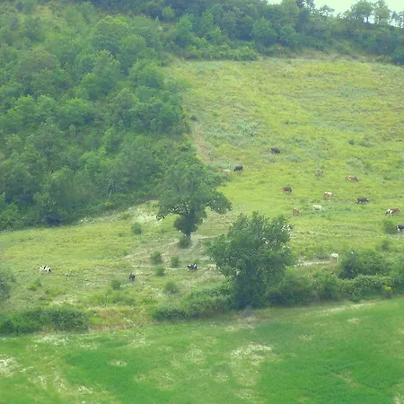 Agriturismo Cà Ferro *